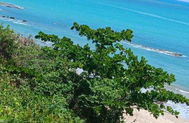 Lotus Antunes Beach - Foto 10