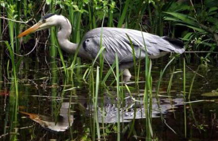 Le Cabanon du Marché - Foto 24