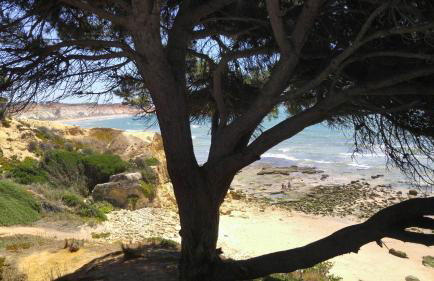 Olhos de Água Apartment Albufeira - Foto 34