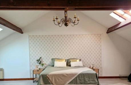 Grande maison en Bords de Marne - 25 min de Paris - Foto 38