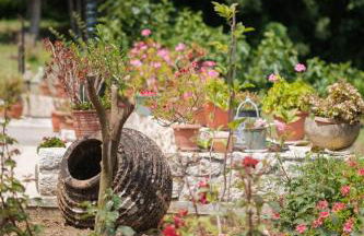 Piniata Guest House - Foto 36