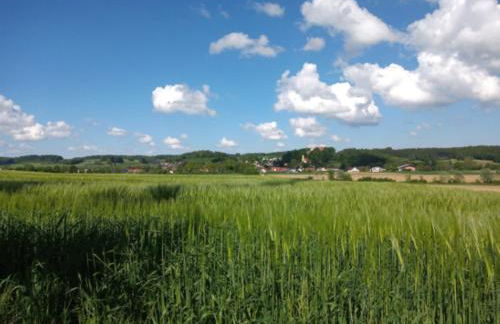 Ferienhaus beim Boten - Foto 23