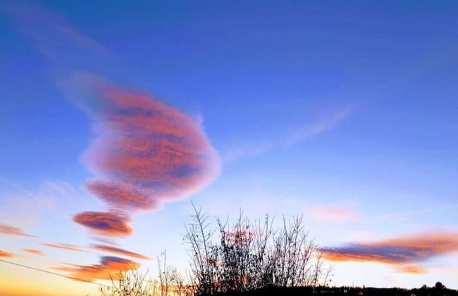 Tranquil Mountain Hideaway - Photo 31