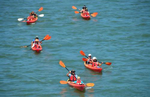 Monet - Mas de Rey - Photo 37