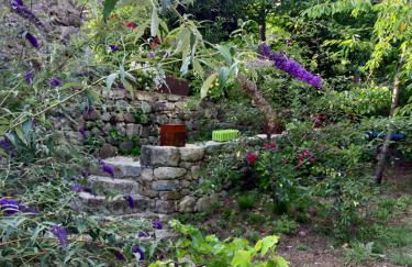 Les Châtaigniers Gîtes du Mas Haut - Foto 30