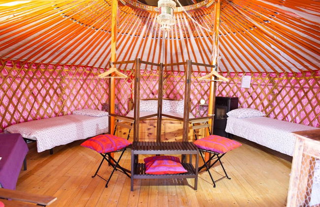 Società Agricola Cacigolara - Foto 5