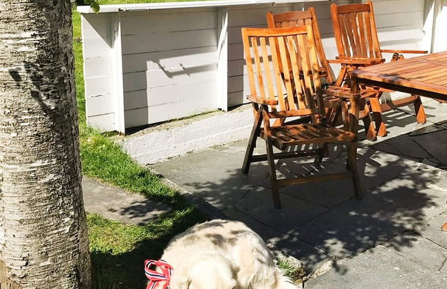 8 Person Holiday Home in Maloy-by Traum - Foto 37