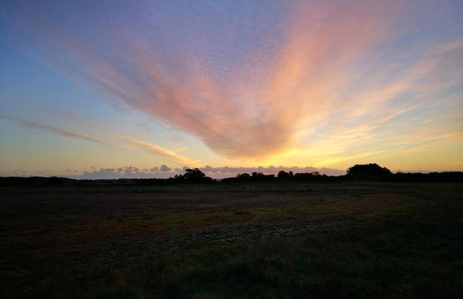 6 Person Holiday Home in Kolind-by Traum - Photo 12