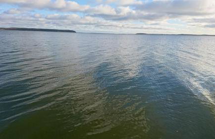 Ferienhaus auf Usedom, Neeberg - Foto 15