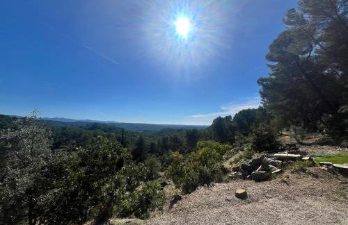 Aix-en-Provence, Bastidon provençal plein cœur de la forêt avec vue unique - Foto 17