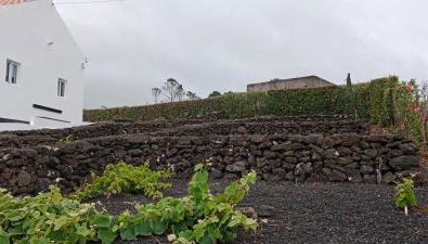 Dream View in Pico - Photo 3, Garden, Garden view