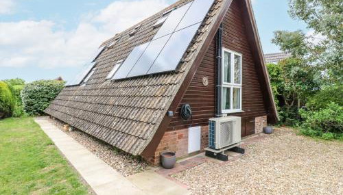 Kingfisher - Photo 4