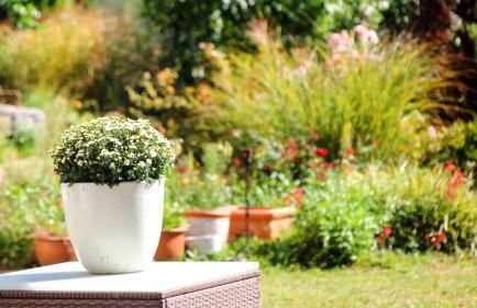 Ferienwohnung Jung und Lind - Foto 3