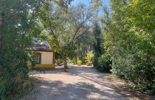 El Duende Casa Rural - Foto 48