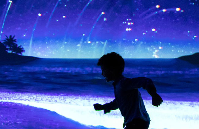 Sea Life Benalmádena - Ticket - Foto 9