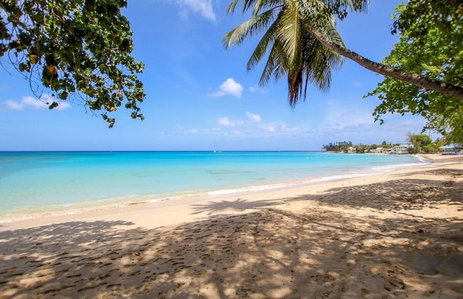 Palm Grove by Bluescape - Foto 44