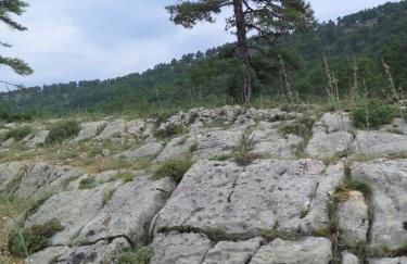 Ciudad Encantada Tio Daniel - Foto 65