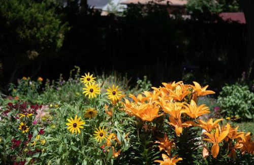 Well-Appointed Family Home in Aurora/Denver Colorado - Foto 32