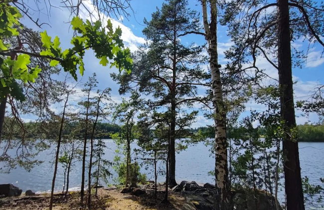 5 Person Holiday Home in Linkoping - Foto 41