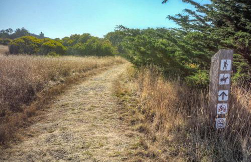 Albatross House with Ocean View Hot Tub - Foto 60