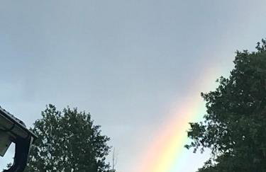 Dzika Plaża Wierzchucino - Foto 16