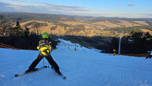 Osada Strusie Jajo w Bieszczadach - Foto 2