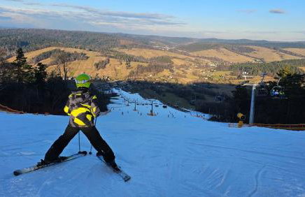 Osada Strusie Jajo w Bieszczadach - Foto 2