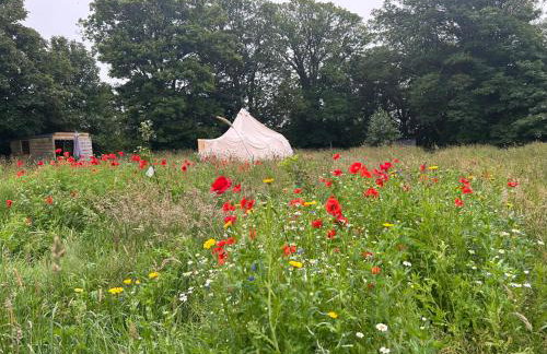 Beautiful Bell Tent Stay - Foto 20