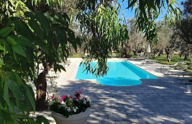 Tenuta Sidore - Photo 1