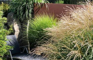 Ferienhaus Eifel-Auszeit - Foto 37