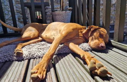 Wagtail Barn - Foto 38