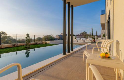 Sella Marron - Foto 47