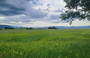 Bambi Forest House - Photo 8