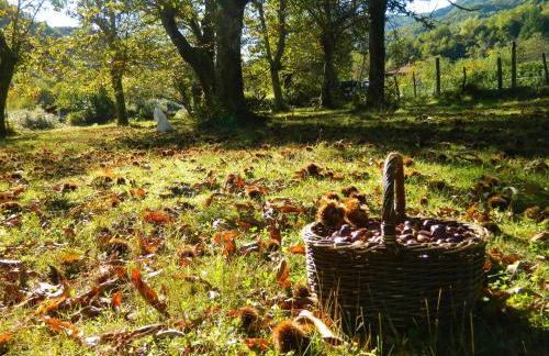 Agriturismo Casa Turchetti - Foto 62