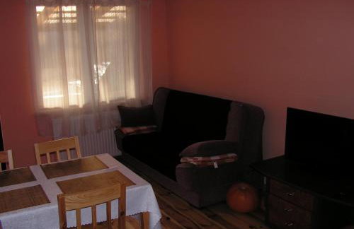 Winnica Na Leśnej Polanie - Foto 1