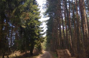 W starej szkole - agroturystyka - Foto 70