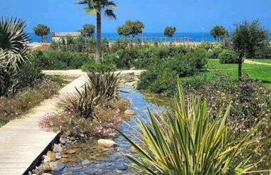 Maleme Kefi - Photo 63