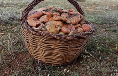 Casa el sabinar - Foto 32