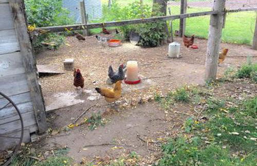 Peaceful Rural Retreat near Wadena, Minnesota - Foto 23