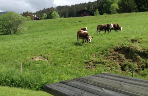 Chalets Savoie Les chalets d'Heidi - Photo 49