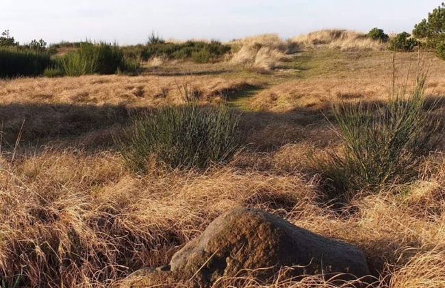 6 Person Holiday Home in Gorlev - Foto 9