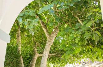 Quinta do Marmeleiro - Casa Marmeleiro - Foto 59