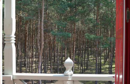 Alexanderhaus, Pension und Restaurant - Photo 62