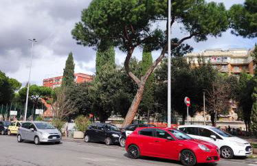 Consoli Home - Foto 36