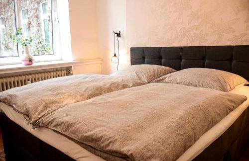 Apartments "Am Rheinorange", Netflix & Prime - Foto 16