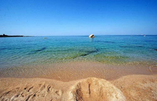 Agriturismo Campesi casale tra le vigne - Photo 67