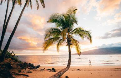 CampCar Maui Jeeps SUVs Hybrid Camper van Rentals with equipment and Travel Advice - Foto 4