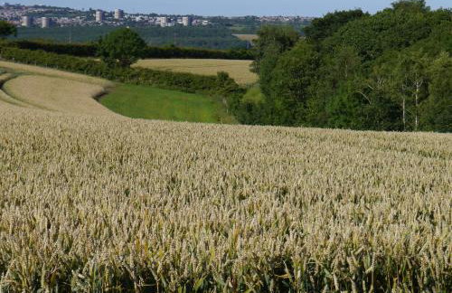 Riding Farm Cottages - Foto 39