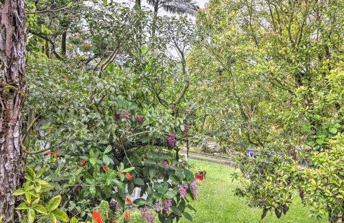 Idyllic Pahoa Paradise Hike, Swim and Explore! - Photo 21