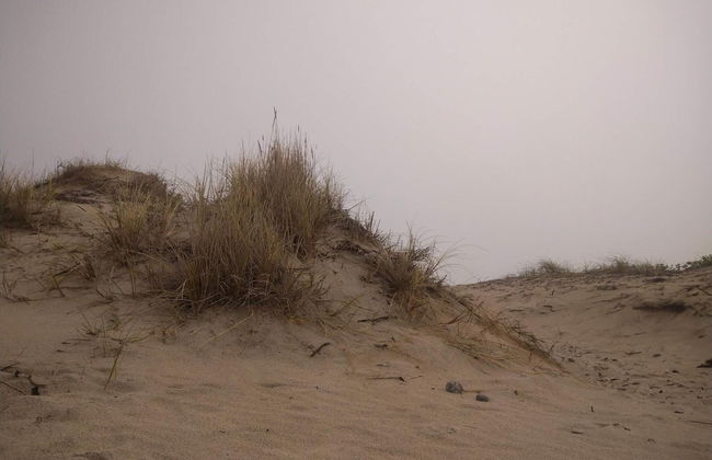 5 Person Holiday Home in Frederiksvaerk - Photo 12